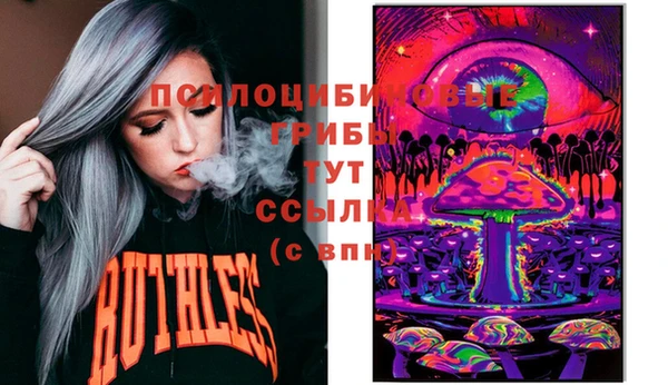 шишки Алзамай