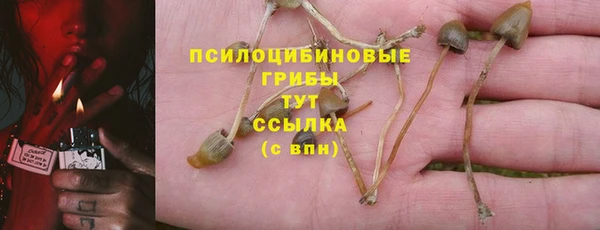 спайс Абинск