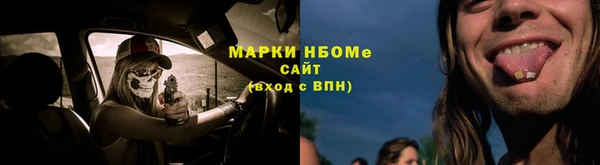 шишки Алзамай