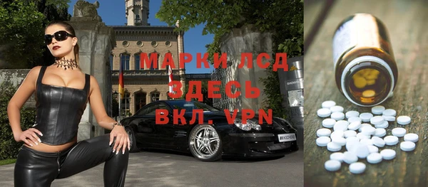 шишки Алзамай