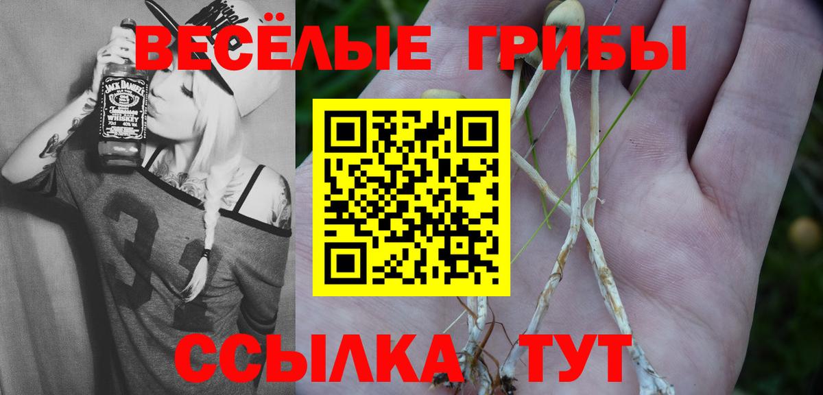 КОКАИН  Тулун  МЕФ   ЭКСТАЗИ  Бошки Шишки  Канабис  Вход с VPN  МДМА  Метамфетамин 