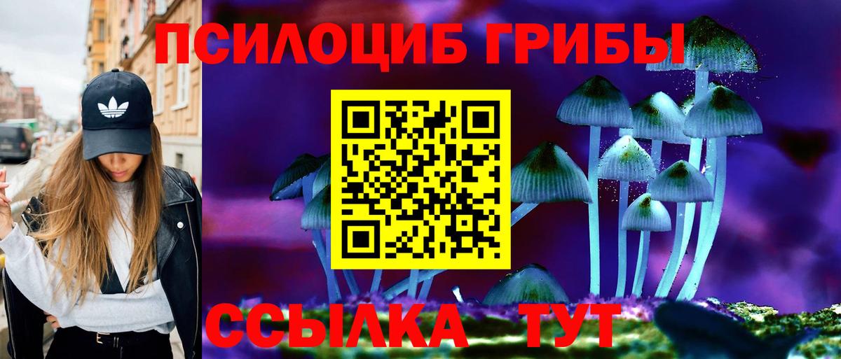 Галлюциногенные грибы MAGIC MUSHROOMS  Вход с VPN  Тулун 